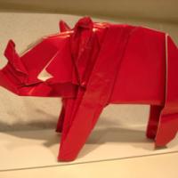 
<span>Rhino</span>
