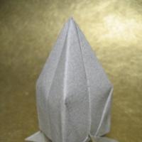
<span>rocket</span>
