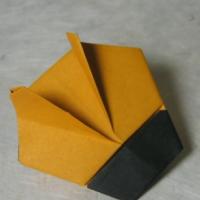 
<span>ladybug</span>
