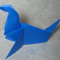 
<span>seal</span>
