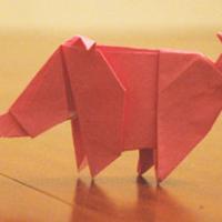 
<span>Pig</span>
