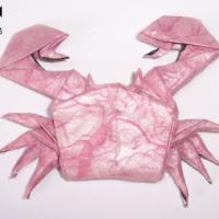 
<span>Crab</span>
