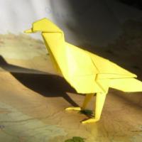 
<span>Canary</span>
