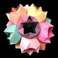 
<span>Fiori Dodecaedro</span>
