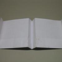 
<span>Wide Wing</span>
