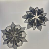 
<span>Snowflake</span>
