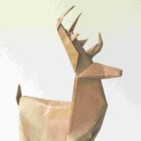 
<span>Deer</span>
