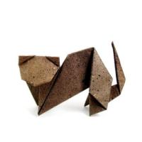 
<span>Cat</span>
