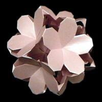 
<span>Plumeria Floral Ball</span>
