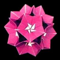 
<span>Primrose Floral Ball</span>
