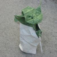 
<span>Jedi Master Yoda</span>
