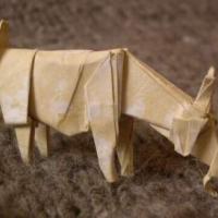 
<span>Goat</span>
