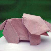 
<span>Elephant</span>
