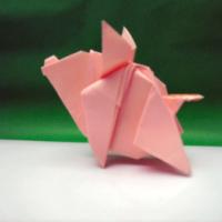 
<span>Pig</span>
