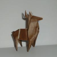 
<span>Reindeer</span>
