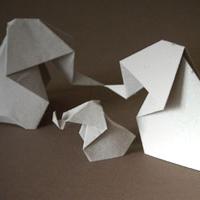 
<span>Elephant</span>
