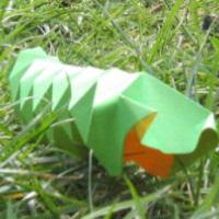 
<span>Caterpillar</span>
