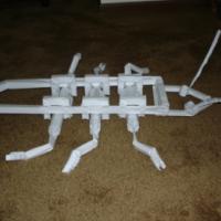 
<span>Roboticus Insectamungus</span>
