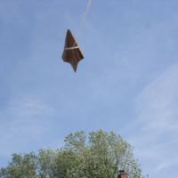 
<span>Kite - Delta</span>
