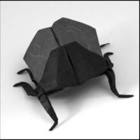 
<span>Beetle</span>
