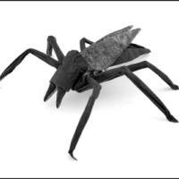 
<span>Mosquito</span>
