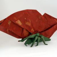 
<span>Butterfly</span>
