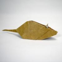 
<span>Mouse</span>
