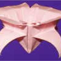 
<span>Flower</span>

