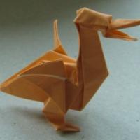 
<span>Pelican (video)</span>
