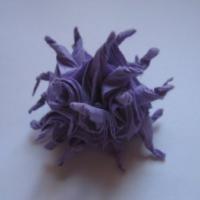 
<span>Atlantic Purple Sea Urchin (video)</span>
