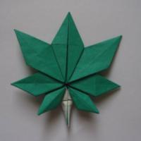 
<span>Maple Leaf (video)</span>

