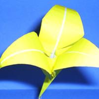 
<span>Flower</span>
