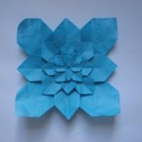 
<span>Hydrangea (video)</span>
