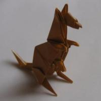 
<span>Kangaroo (video)</span>
