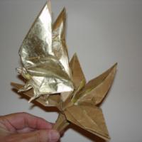 
<span>butterfly on flower #1</span>
