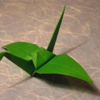 
<span>Crane</span>
