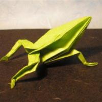 
<span>Frog</span>
