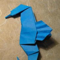 
<span>Seahorse</span>
