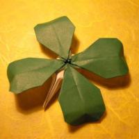 
<span>Clover</span>
