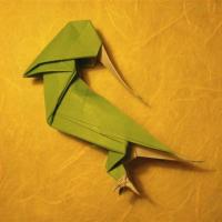 
<span>Parrot</span>
