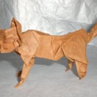 
<span>After the Rat the Cat</span>
