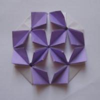 
<span>Crowding Butterflies (video)</span>
