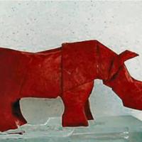 
<span>Rhinoceros</span>
