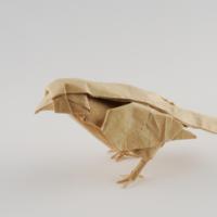 
<span>Little Bird</span>
