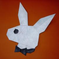 
<span>Randy Rabbit</span>
