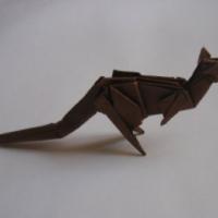 
<span>Kangaroo (video)</span>
