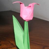 
<span>Flower</span>
