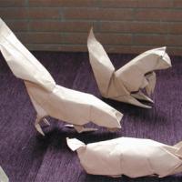 
<span>Squirrels</span>
