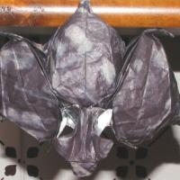 
<span>Bat</span>
