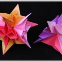 
<span>Ixora</span>
